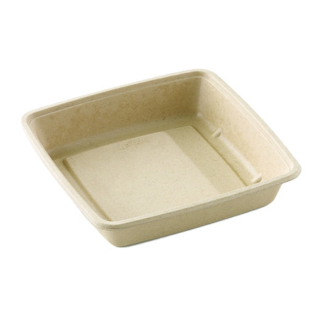 Suikerriet Container 1.400ml 23x23x4cm (300 stuks)