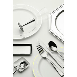 Assiette en Plastique Dur avec Liseré Argent 15cm (20 Utés)