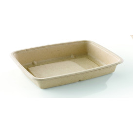 Boîte Canne à Sucre 600ml 230x165x30mm (75 Utés)