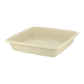 Suikerriet Container 1000ml 23x23x3cm (75 stuks) 