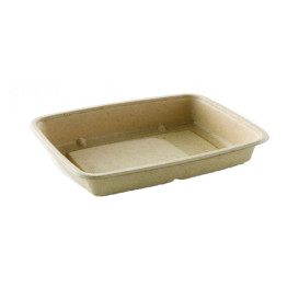 Boîte Canne à Sucre 600ml 230x165x30mm (75 Utés)