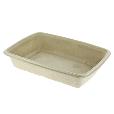 Suikerriet Container 950ml 23x16,5x5cm (75 stuks) 