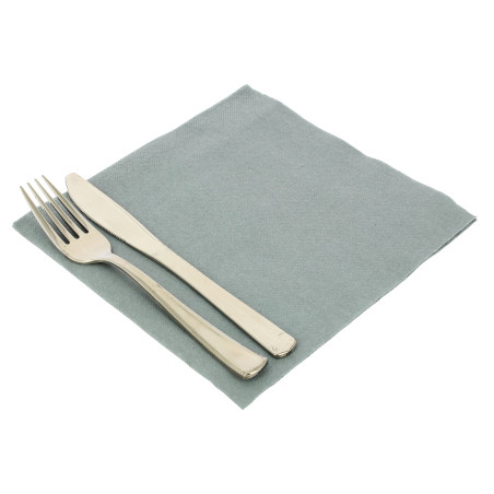 Serviette Papier Molletonnée Gris 40x40 (50 Unités)