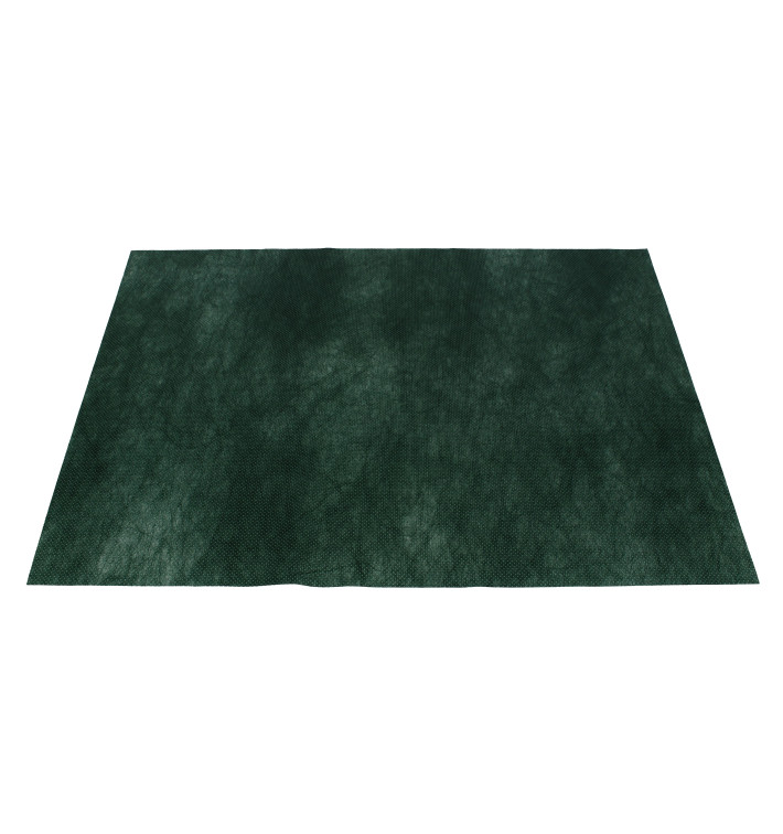 Set de Table en PP Non-Tissé Vert 30x40cm 50g (500 Utés)