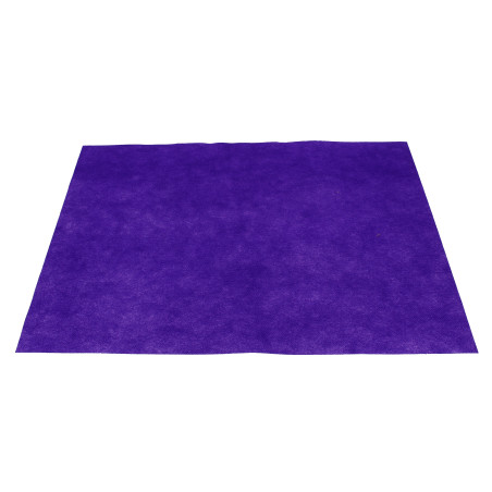 Set de Table en PP Non-Tissé Lilas 30x40cm 50g (500 Utés)