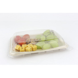 Suikerriet brood Container 20x14cm (50 stuks) 