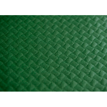 Nappe en papier 1x1m Vert 40g (400 Utés)