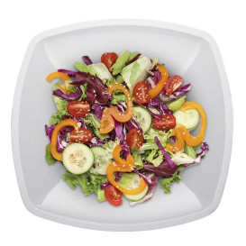 Assiette Plastique Réutilisable Plate Blanc  PS 300mm (144 Utés)