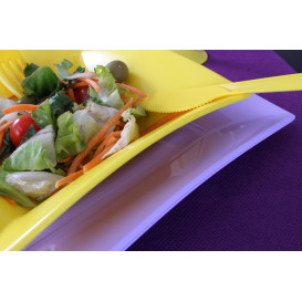 Assiette Plastique Réutilisable Plate Lilas PP 230mm (300 Utés)