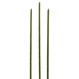 Bamboe vleespennen Naturel groen 15cm (5000 stuks)