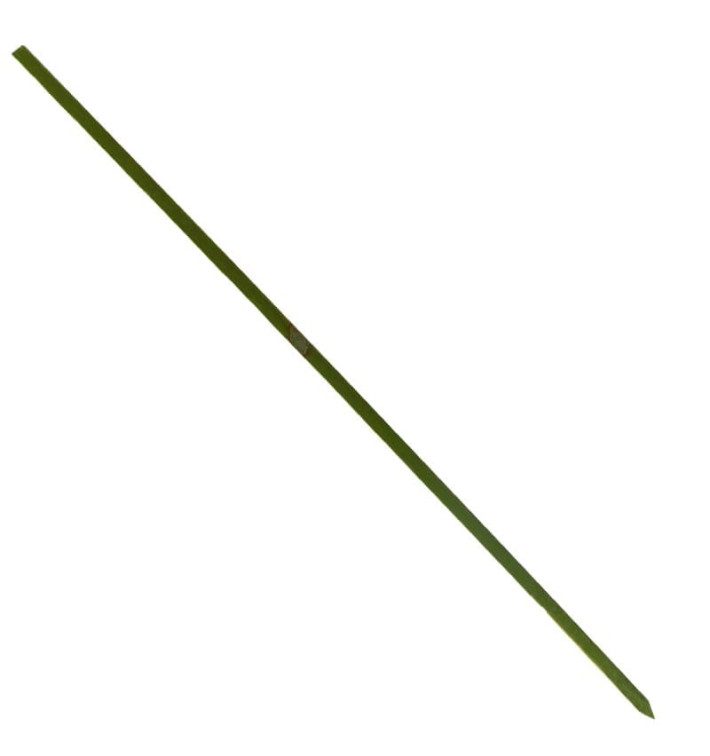 Bamboe vleespennen Naturel groen 15cm (5000 stuks)