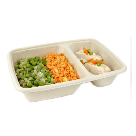 Suikerriet Container 2 Compartmenten 800ml 23x16,5x5cm (300 stuks)