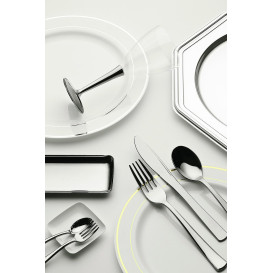 Assiette en Plastique Dur avec Liseré Argent 23cm (6 Utés)