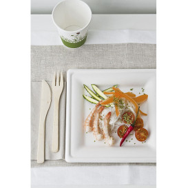 Assiette Carrée Canne à Sucre Blanc 260x260mm (40 Utés)