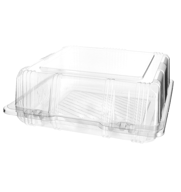 Plastic scharnierende bakkerij Container PET 20x20x8cm (220 stuks)