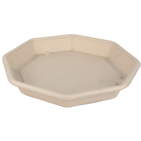 Suikerriet Container Achthoekig 830ml 23x23x3cm (50 stuks) 