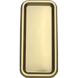 Plastic dienblad Rechthoekige vorm goud 35x16cm (50 stuks)