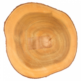 Houten bediening schotel Rond vormig Ø23x3,5cm (1 stuk) 