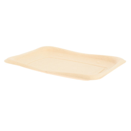 Suikerriet brood Container 20x14cm (50 stuks) 