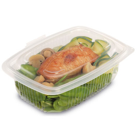 Plastic Container Microwave PP transparant 600ml 18,5x13,5cm (50 stuks) 