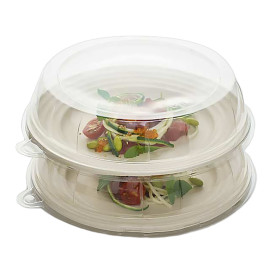 Couvercle  Plastique Transp. pour Assiette 23x5cm (21 Unités)