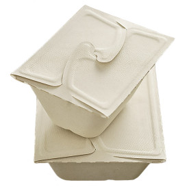 Pakket Suikerriet menu doos 13x13x7cm 500ml. (50 stuks)