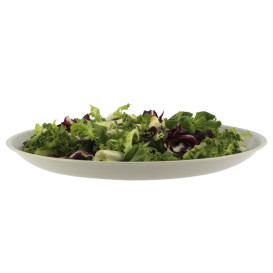 Assiette Réutilisable Premium PP Minéral Gris Ø27,5cm (54 Utés)