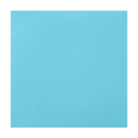 Serviette Papier Turquoise 2E Molletonnée 33x33cm (50 Utés)