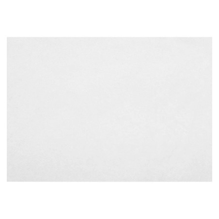 Set de Table en PP Non-Tissé Blanc 30x40cm 55g (500 Utés)