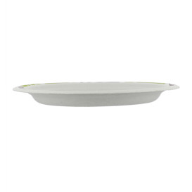 Assiette en Carton Chinet 170mm Flavour (175 Unités)