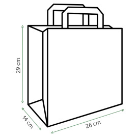 Sacs en Papier Kraft avec Anses Plates 80g/m² 26+14x29cm (250 Unités)