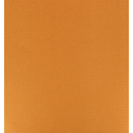 Nappe en papier en Rouleau Orange 1x100m 40g (1 Unité)