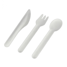 Cuillère en Canne à Sucre Blanc 16cm (50 Utés)