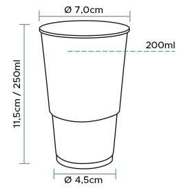 Verre Plastique PP Transparent 250ml (3.000 Utés)