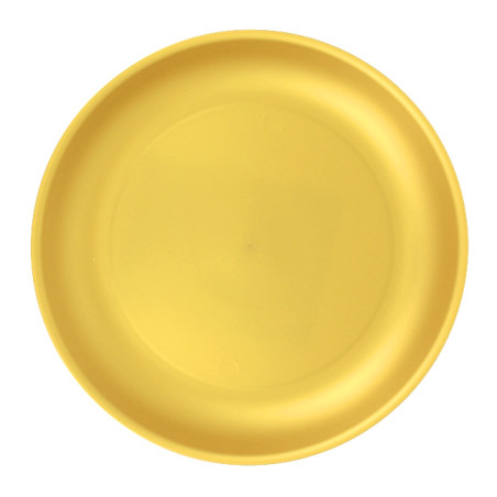 Assiette Réutilisable Durable PP Minéral Or Ø21cm (6 Utés)