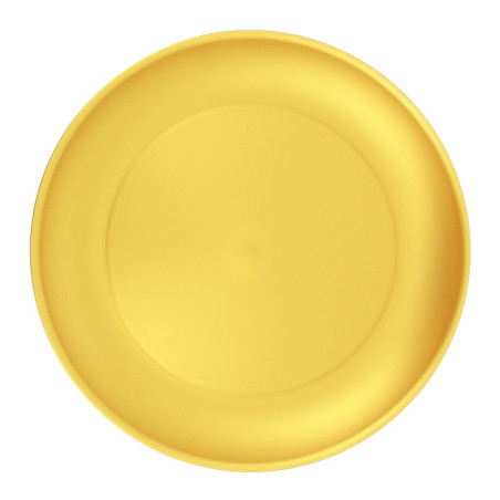 Assiette Réutilisable Durable PP Minéral Or Ø23,5cm (6 Utés)