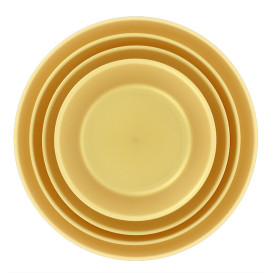 Assiette Réutilisable Durable PP Minéral Or Ø18cm (6 Utés)