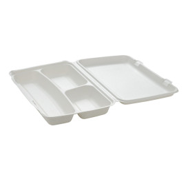 Suikerriet Gescharnierd Panini Container 3C 38x48,3x6,15cm (100 stuks) 