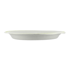 Assiette Chinet 3 Compartiments 260mm Flavour (540 Unités)