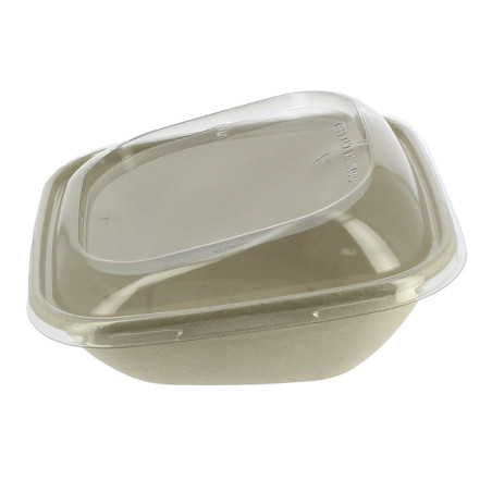 Suikerriet Container met Deksel 750ml 19x19x8cm (15 stuks) 