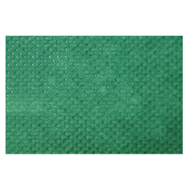  Nappe en PP Non-Tissé Vert 120x120cm (150 Utés)