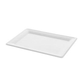 Plateau Bio en Canne à Sucre Blanc 200x280mm (320 Utés)