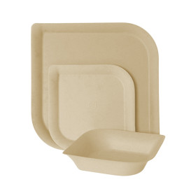 Suikerriet bord Bagasse en Bamboe 23,8 cm (50 stuks) 