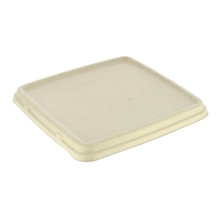 Couvercle pour Barquette Canne à Sucre 23x23cm (300 Utés)