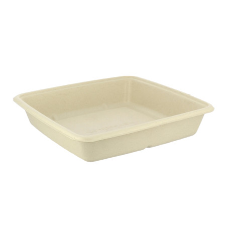 Suikerriet Container 1.000ml 23x23x3cm (75 stuks) 