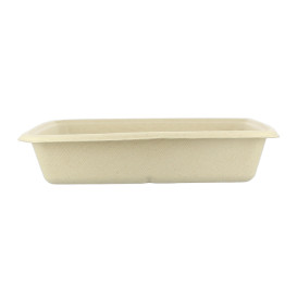 Suikerriet Container 1000ml 23x23x3cm (75 stuks) 