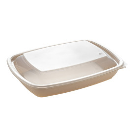 Plastic Deksel voor Deli Container PP Rechthoekige vorm zwart en creme 23x16,5cm (75 stuks) 