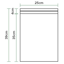 Plastic zakken zelfklevende flap CPP G160 25x35cm (100 stuks) 