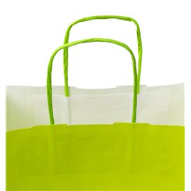 Sac en Papier Vert avec Anses 100g/m² 22+9x23cm (250 Utés)