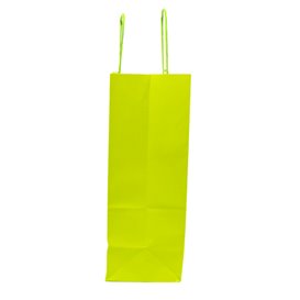 Sac en Papier Vert avec Anses 100g/m² 22+9x23cm (250 Utés)